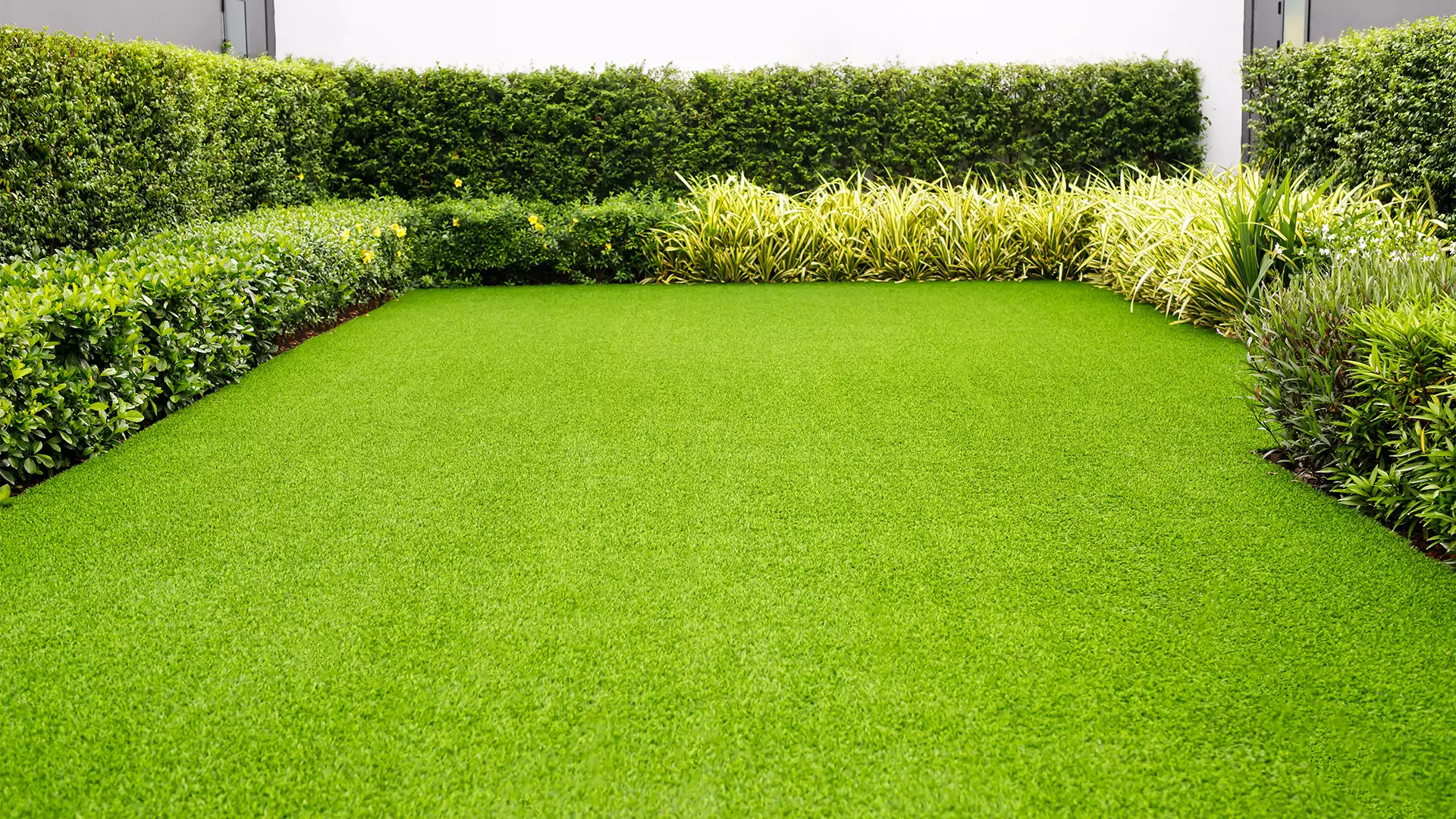 Piękny trawnik w ogrodzie